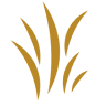Alysium Day Spa Sydney - Spa Treatments and Luxury Services
