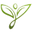 Art Flower