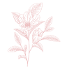 Amberworks Floral Design