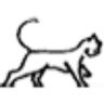 Animal Medical Clinic