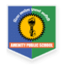 Amenity Public School