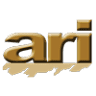 America Realty & Investments LLC