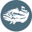 American Fish Company