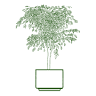 American Interior Plant Services