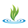American Montessori School