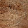 American Timber Salvage