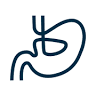 Adelaide Obesity & Weight Loss Surgery