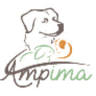 AMPIMA médiation par l'animal