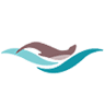Anacortes Dental Care