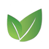 Anew You Medical Aesthetics and Total Wellness Center