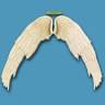 Angels Above Cremation Services