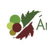 Angel Segovia Wines