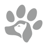 Veterinary Clinic White Mountain
