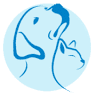 Animal Kindness Veterinary Hospital