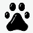 Animal Medical Center