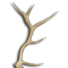 Antler Creek Antler Furnishings & Wire Art