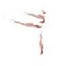 Academy of Classical Ballet - CALIFORNIA