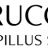 A Parrucchieri