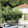 Apartments Trpanj i Velika Prapratna Peljesac