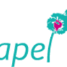 APEL Départementale des Hauts de Seine