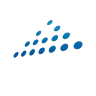 Apex IT Services