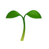 A Place To Grow Preschool