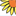 Il Girasole1
