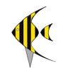 Aquarama-czech