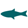 Aquarium-fishspa.fr