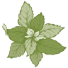 ARA-HERBE S.L.