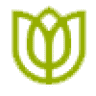 Aranzaflor