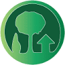Arbor Culture Tree Services
