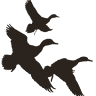 ARDuckblinds