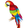Armando's Caribe