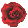 Aroma Spa & Laser Center