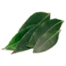 PYP Sabana