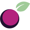 Artemis International Inc