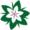 Artfleur