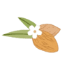 Aruci Dolcezze Siciliane