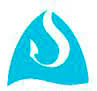 A Salmon Firm, LLC