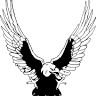 Asko 96