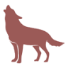Asoanimales