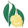 Arafura Swamp Rangers Aboriginal Corporation