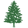 Atlantic Forest Products