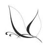Auburn Furnishings & Decorating