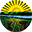 Wood County Auditor Real Estate