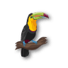 Au Paradis des Plumes