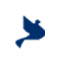 Austin Funeral & Cremation Services