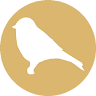 Austin Mustard Seed