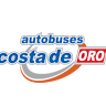 Gold Coast buses